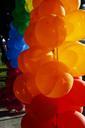 balloons-yellow-green-blue-red-717047.jpg