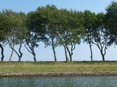 waterfront-water-zealand-trees-432971.jpg