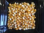 popcorn-kernels-food-snack-corn-877076.jpg