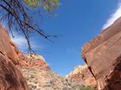 red-rocks-canyon-calico-basin-1351145.jpg