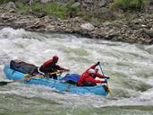 rafting-rapids-paddle-team-focus-175603.jpg