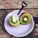 kiwi-bird-fruit-green-vitamin-1245356.jpg