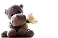 hippo-plush-toy-flowers-flower-70349.jpg