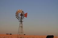 windmill-south-africa-farmland-1127946.jpg