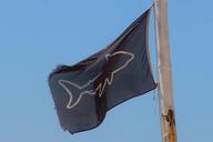 flag-warning-signs-shark-risk-631535.jpg