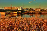 river-reed-sunset-glow-autumn-sky-533004.jpg