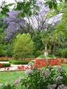 park-landscape-plants-nature-garden-603846.jpg