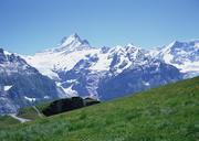 Path-with-View-of-Mount-Matterhorn-Zermatt-Switzerland.jpg