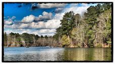 lake-wilderness-summer-trees-water-11695.jpg