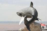 grey-reef-shark-sculpture-shark-1211455.jpg