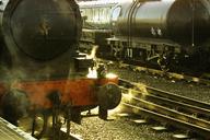 trains-steam-locomotive-railway-445177.jpg