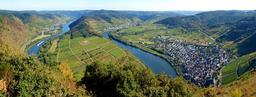 mosel-calmont-bend-vineyards-view-1662725.jpg