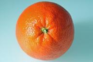 orange-citrus-fruit-shell-cute-617418.jpg