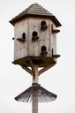 dovecot-wooden-house-pigeon-dove-214276.jpg