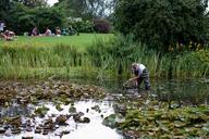 pond-clearing-man-waders-lawn-487744.jpg