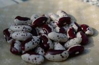 beans-cores-harvest-red-white-207922.jpg