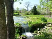 pond-waterfall-nature-water-372567.jpg