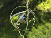 metal-ball-chrome-garden-181308.jpg