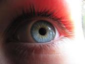 eye-blue-watch-blue-eye-macro-395680.jpg