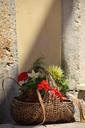 basket-flowers-bouquet-1668298.jpg