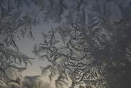 ice-crystals-ice-winter-frozen-616120.jpg