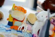 toys-cuddly-stuffed-several-603046.jpg