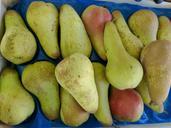 market-pears-eat-food-fruit-68784.jpg