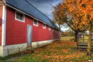 barn-trees-park-farming-outdoors-63838.jpg