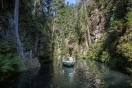 gorge-boat-trip-kirnitzschklamm-1053491.jpg