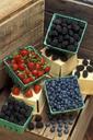 blackberries-blueberries-387470.jpg