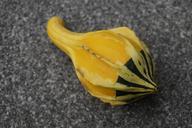 pumpkin-gourd-deco-autumn-1005121.jpg