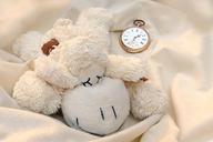 still-life-teddy-bear-sch%C3%A4fchen-861822.jpg