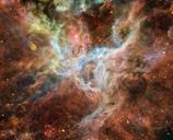 tarantula-nebula-central-portion-1245253.jpg