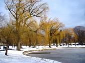 boston-massachusetts-park-trees-108117.jpg