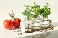 cook-spices-herbs-tomato-table-top-959332.jpg