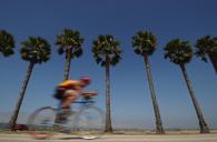 san-diego-california-bicycle-bike-85924.jpg