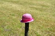 hat-meadow-wood-pile-pink-leave-799761.jpg