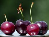 cherries-fruit-red-sweet-167807.jpg