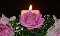 candles-flame-christmas-arrangement-362433.jpg