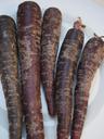 carrots-red-carrots-purple-779619.jpg