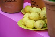 lemons-zitronendeko-yellow-pink-1405459.jpg