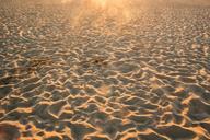 beach-sand-footprints-summer-923307.jpg