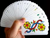 game-manual-cards-jass-cards-627176.jpg