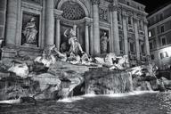 fountain-trevi-fountain-radicchio-1412415.jpg