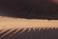 dune-sand-desert-waves-509243.jpg