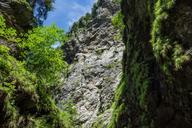 liechtensteinklamm-gorge-austria-410742.jpg