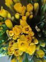 easter-easter-lilies-plants-997886.jpg