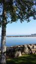 birch-stone-wall-vadstena-642357.jpg