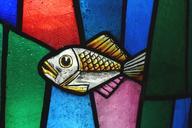 stained-glass-fish-glass-stained-620768.jpg