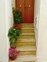 steps-flowers-entry-welcome-875505.jpg